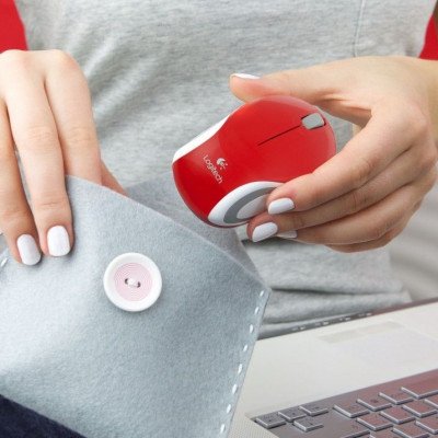 Ποντίκι… τσέπης