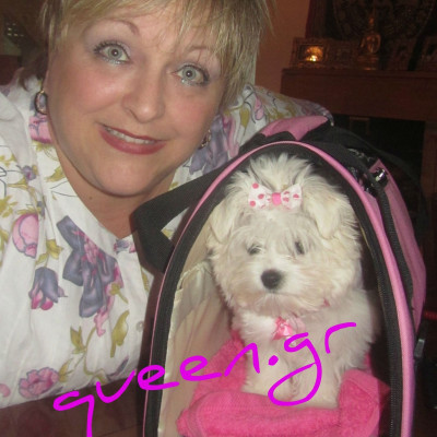 Donnas 900gr cup cake ..