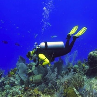 Ανακαλύψτε την μαγεία του βυθού με την Scuba Experience!