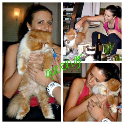 Toffee & the birthday girl Sanja ..