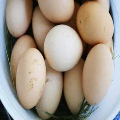 Για να μην κόψει το αυγό!