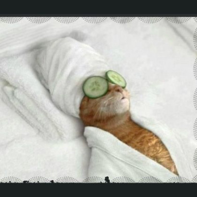 Lunar Dance: Spa day με γήινα φυσικά υλικά