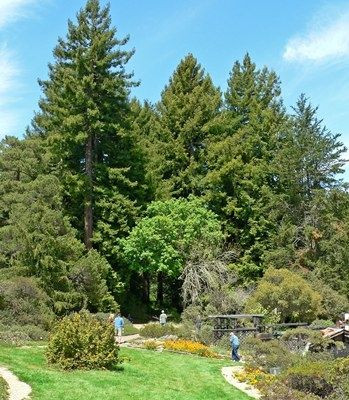 Αυτές είναι οι σημαντικότερες πηγές πρασίνου, για περίπατο στην Αθήνα!