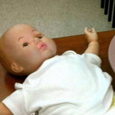 Εκπαιδεύοντας την Καλομοίρα! (φωτό)