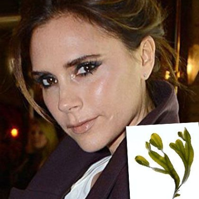 Η Victoria μας δείχνει πώς να χάσουμε τα κιλά των γιορτών!