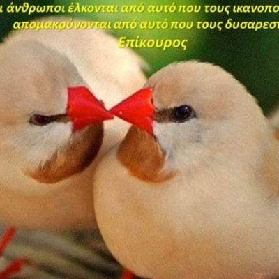 Συναισθηματική πρόβλεψη για αιώνια αγάπη