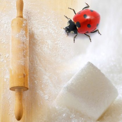 Απίστευτα υλικά που υπάρχουν στις τροφές μας