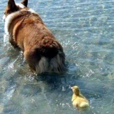 Lunar Dance: Η αγάπη είναι πυξίδα…