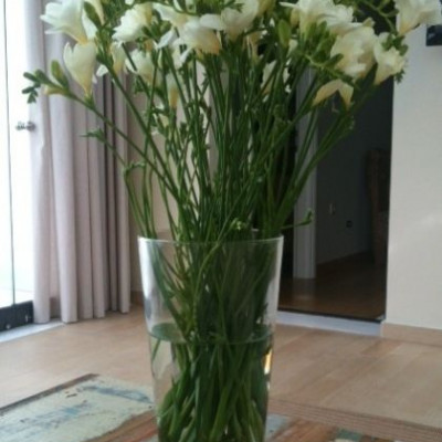 Τα απλά πράγματα που μας φτιάχνουν τη διάθεση