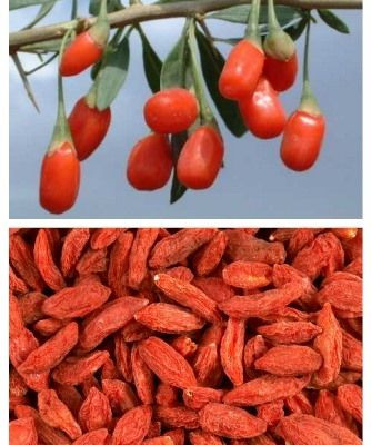 Goji Berry: Το μυστικό για υγεία και αδυνάτισμα