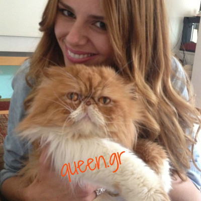 Έχουν το ίδιο ..