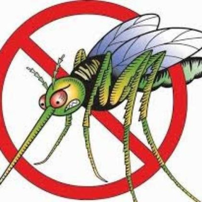 Δείτε πως θα ξεφορτωθείτε τα κουνούπια