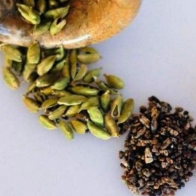 Αυτή είναι η θαυματουργή δίαιτα των αρχαίων Ελλήνων!