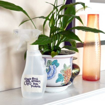 Κρατήστε τα ζωύφια μακριά από τα φυτά σας