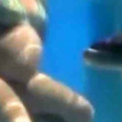 Μωρό γεννιέται μπροστά σε ένα δελφίνι! (βίντεο)