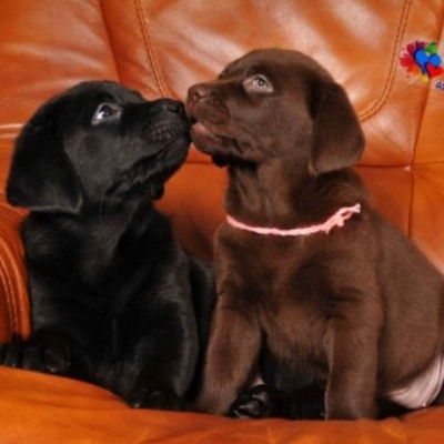 Ερωτικό ωροσκόπιο 3/11