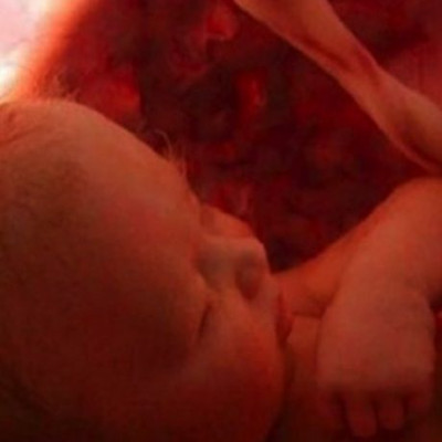 Δείτε το τρυφερό βίντεο με το έμβρυο να μεγαλώνει μέσα στην κοιλιά!