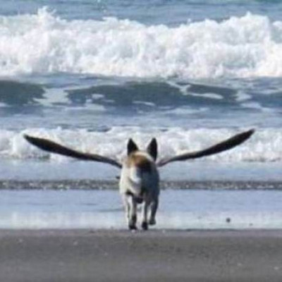 ΔΕΝ είναι φωτομοντάζ: Η φωτογραφία που σαρώνει στο διαδίκτυο