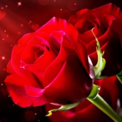 Ερωτικές προβλέψεις Φεβρουαρίου για όλα τα ζώδια