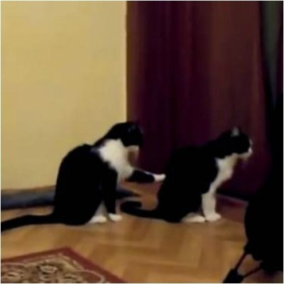 Βίντεο που σαρώνει: Αρνήθηκε τη συγνώμη της και τότε... δείτε τι έκανε