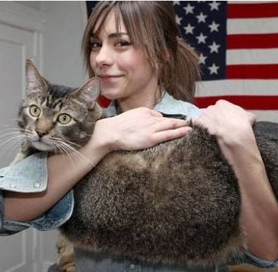 Γάτος-γίγαντας...βρήκε επιτέλους ενα σπίτι! (βίντεο)