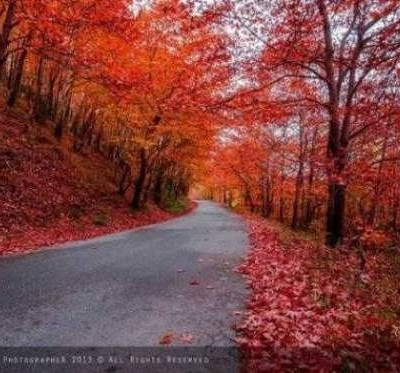 Η φωτογραφία της Πύλης Τρικάλων που αγόρασε η Microsoft