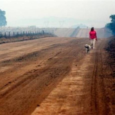 Έβγαλαν βόλτα το σκύλο τους και έγιναν πλούσιοι! Δείτε πώς...