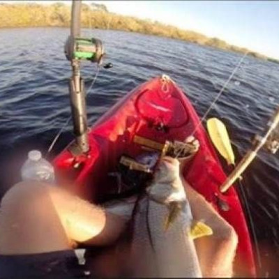 Καρχαρίας έσερνε ψαρά στον ωκεανό επί δύο ώρες