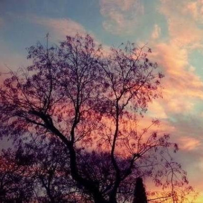 Η πιο όμορφη φωτογραφία της άνοιξης! (εικόνα)