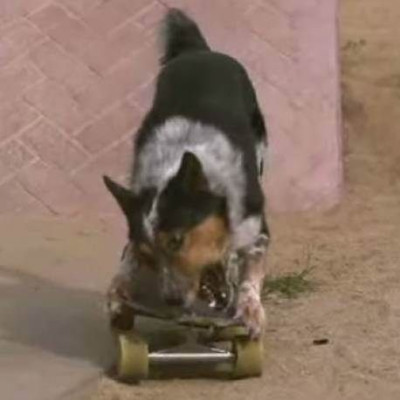 Η μαγεία της αργής κίνησης! (Βίντεο)