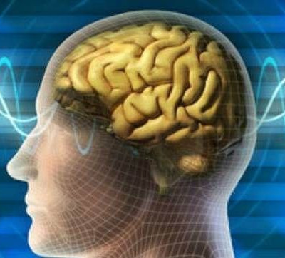 Πότε κάποιος άνθρωπος θεωρείται μορφωμένος;