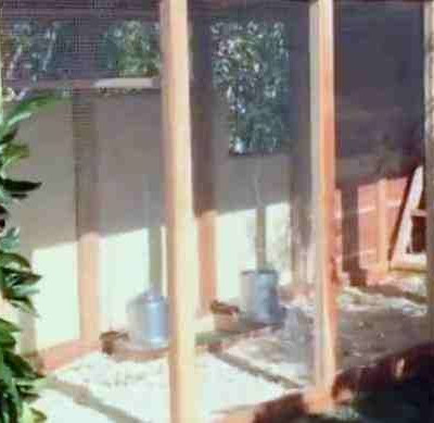 Απίστευτο: Έκανε δώρο στον άντρα της κοτέτσι για τα γενέθλιά του!