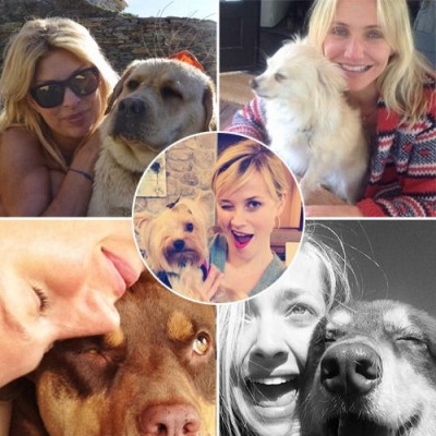 20 διάσημοι σκυλογονείς: Δείτε Έλληνες & ξένους stars αγκαλιά με τα «παιδιά» τους! (φωτος)