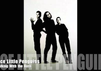 I am flying ~ Nice Little Penguins