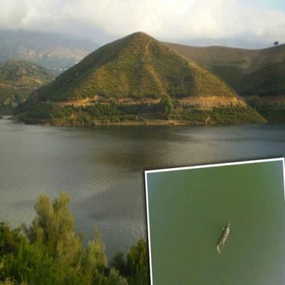 Υπάρχει και άλλος κροκόδειλος στο Ρέθυμνο (vids)