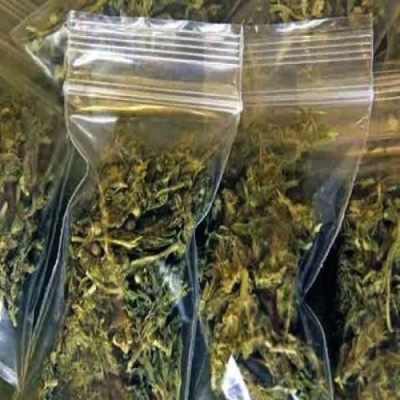 Σάλος στη Μυτιλήνη από τη σύλληψη 22χρονης - κόρης μεγαλοδημοσιογράφου