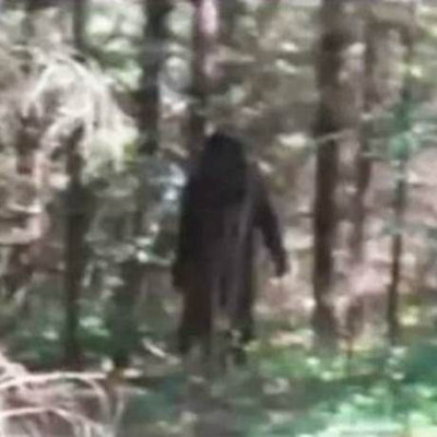 9χρονο αγόρι φωτογράφισε από κοντά μυθικό τέρας (pics+vid)