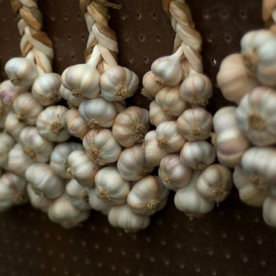 Το... παρεξηγημένο σκόρδο: Μάθετε τις ευεργετικές του ιδιότητες!