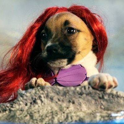 Οι ήρωες της Disney ντύθηκαν... κουτάβια!