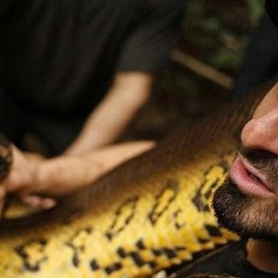 Έτσι τον έφαγε ζωντανό το Ανακόντα!