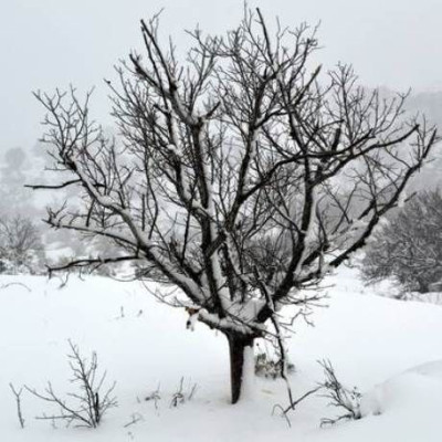 Καιρός: Νέα επέλαση του χιονιά – Θα χιονίσει στο κέντρο της Αθήνας