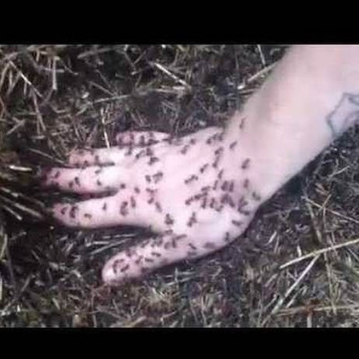 Δείτε τι σερβίρει το καλύτερο εστιατόριο στον κόσμο