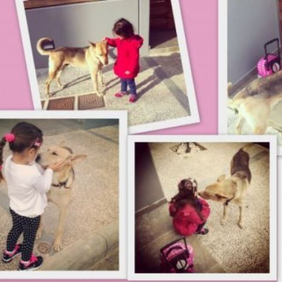 Despoina’s little stories: «Η Έλενα και ο Ιάσονας» (βίντεο)