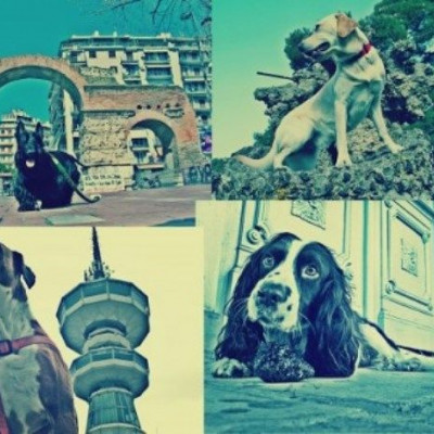 City of Dog: Έκθεση Φωτογραφίας του Κωστή Ζαφειράκη στο Garcon Brasserie