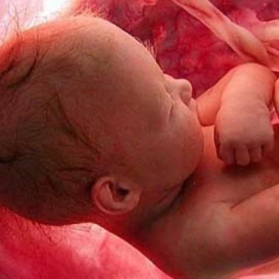 Έχετε αναρωτηθεί τι κάνουν τα μωρά μέσα στην κοιλιά όλη μέρα; Ιδού η απάντηση!