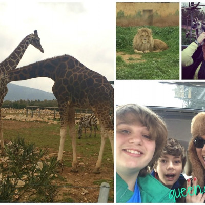 Αξίζει να πάτε !!!