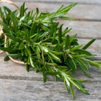 Έτσι θα εξαφανίσετε τα κουνούπια απο το σπίτι με φυσικό τρόπο!