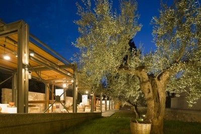 «Στου φεγγαριού τους δρόμους» στο Μουσείο Ελιάς και Ελληνικού Λαδιού Σπάρτης