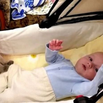 Δεν πάει ο νους σας τι κάνει μία γάτα για να ηρεμήσει το μωρό! (βίντεο)