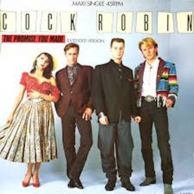 The Promise You Made ~ Cock Robin